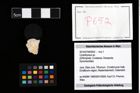 Foto (Objekt + Etikett) von Cyclothyreus sp.  (NHMW-GEO-2014-0194-0652)